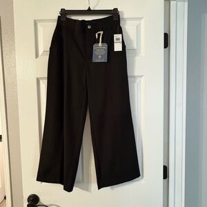 Democracy Classic Black Ankle Pants